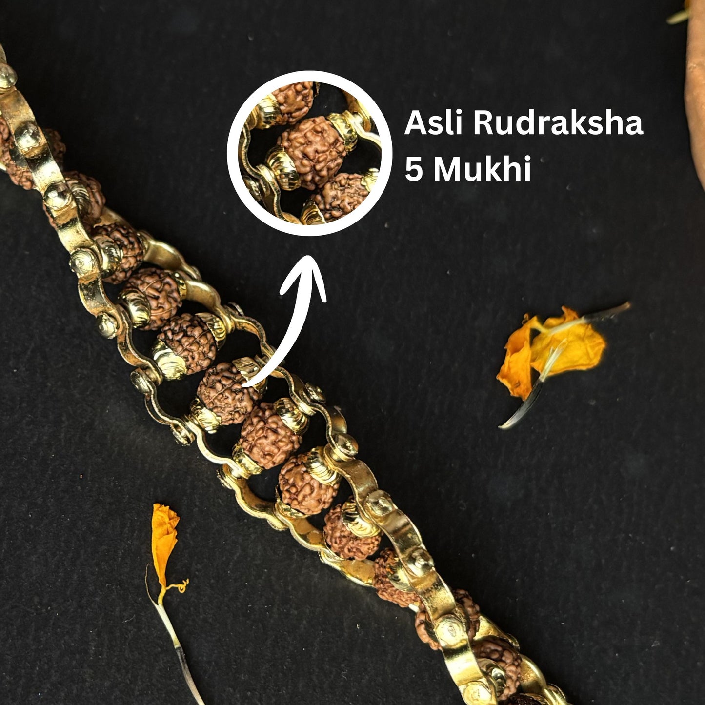 Gold Plated Rudraksha Bracelet —  Asli 5 Mukhi | Poojam